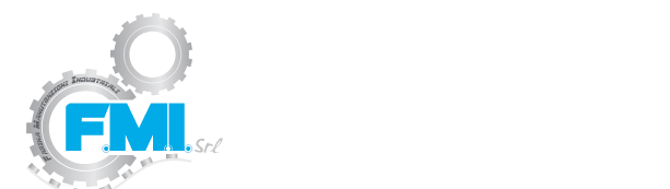 F.M.I. FARINA MANUTENZIONI INDUSTRIALI S.r.l.